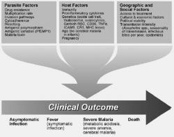 Figure 2. Factors affecting the ultimate disease outcome in Malarial infection.