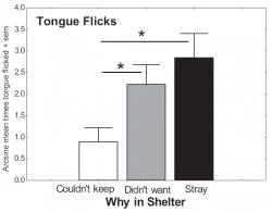 Figure 3: Mean arcsine transformed data of the proportion of subjects who Tongue Flicked in the presence of a human experimenter. All subjects were shelter dogs and were categorized as to the reason they were in the shelter. Dogs were in the shelter as they were collected as strays, for reasons of the owners not wanting the dogs, or for reasons that the owners could not keep the dogs. Four dogs did not fit into these categories and their reasons for being in the shelter were undefined. Those four were dropped from this analysis. Dogs that were surrendered because the owner couldn't keep them Tongue Flicked significantly less than dogs that were collected as strays as well as dogs surrendered because the owners did not want them.
