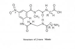 Structure of beta-turn mimic