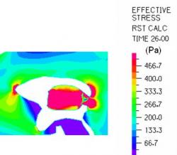 Fig. 13: The effective stress during systole was largest in the expanding choroid plexus and on the walls of the anterior and posterior horns of the lateral ventricles, approaching 533.4 N/m2.