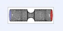 Figure 4. Three-dimensional control grid with symmetric constriction. Venturi diameter was 5 mm and constriction diameter was 1.5 mm deep and 3 mm wide (moderate). Model was created in Gambit by rotating respective two-dimensional cross sectional grid 360 degrees about the horizontal line of symmetry. Black lines represent tetrahedral mesh, blue face designates velocity inlet, and red face designates pressure outlet. Model was subsequently simulated in Fluent.