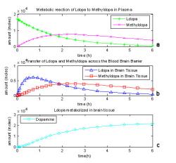 Fig. 4: L-dopa metabolism in a one compartment model of the brain based on five differential equations with some reactions assumed to be negligible.