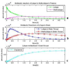 Fig. 5: One compartment model based on Gjedde, 1991, all reactions included.
