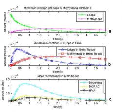 Fig. 7: Graphical representation of a one compartment model including dopamine's further metabolites and loss.