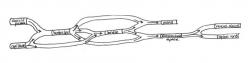 Figure 8. Network Model CSF compartments.