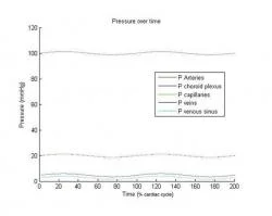 Figure 12. Pressure in the blood flow compartments over time for two cardiac cycles.
