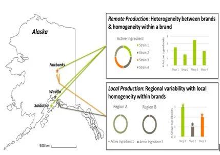 Figure 1. Hypothesis of how relationships between active ingredients may relate to mechanisms of Spice production. Samples for this study were collected in Fairbanks, Wasilla and Soldotna, shown onmap ( http://www.worldatlas.com/webimage/countrys/namerica/usstates/outline/ak.gif ). Via ground transportation, Soldotna is 304 km from Wasilla and 812 km from Fairbanks; Wasilla is located 508 km from Fairbanks.