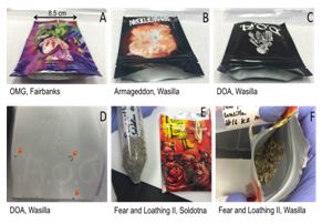 Figure 4. Discrepancies in packaging and contents of Spice samples. Note the unsealed packages (A, B, and C; each package is 8.5 cm in width), the label on D.O.A. being a sticker (C and D), the foreign mate- rial on the backside of the sticker (D), as well as the difference in herbal substrate’s appearance in Fear and Loathing II (E and F). Specifically, (F) contains blue petals and contains larger pieces of herbal substrate, while(E) contains finer pieces of herbal matter and lacks the blue petals.