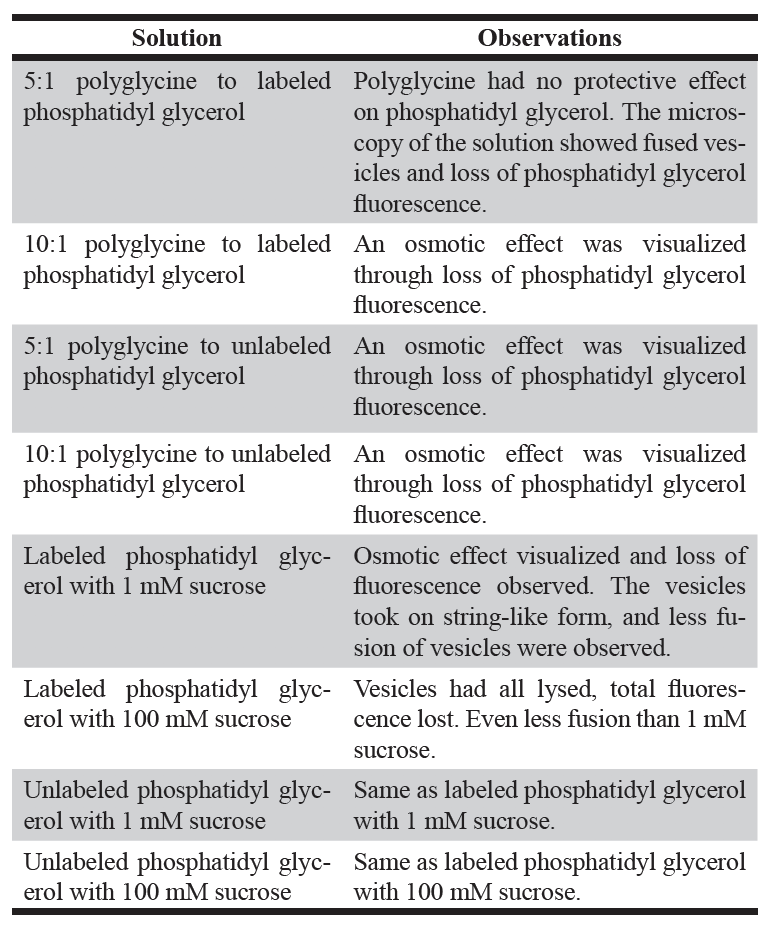 Table 2. Measuring the osmotic effects of liposomes using fluorescence.