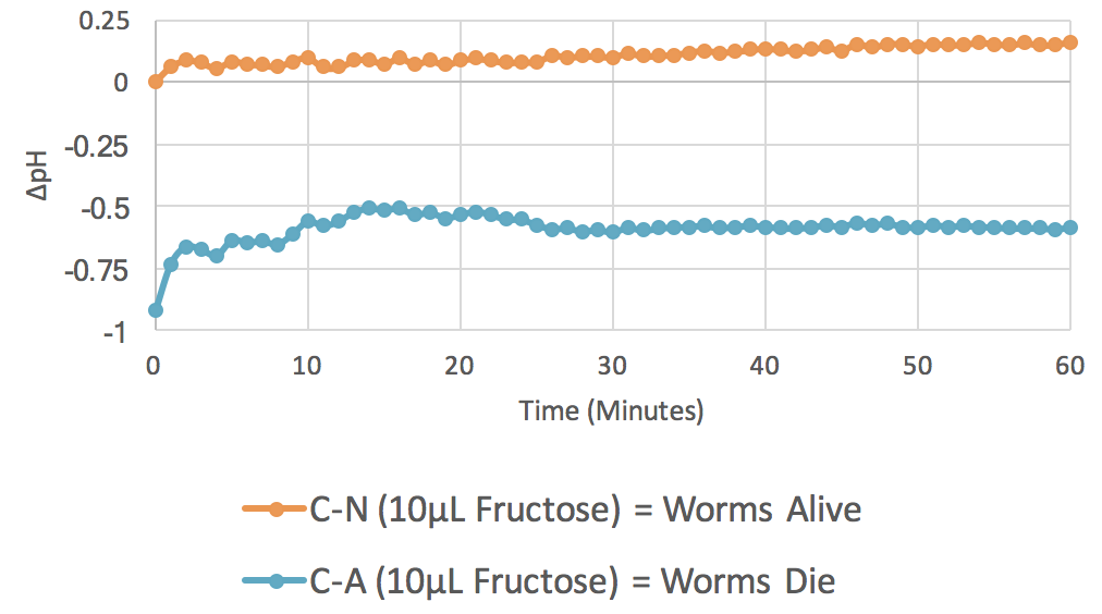 Figure 4. 10 µL Fructose ( n = 3). The graph plots average changes in pH over time with relation to two parameters: control minus no azide (C-N) and control minus azide (C-A). This indicates the results of change in pH when C. elegans are incubated with fructose, both with and without the presence of the mitochondrial inhibitor azide.
