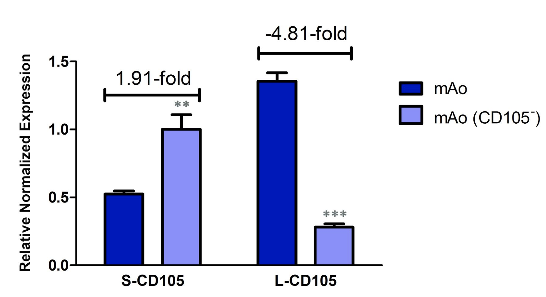 Figure 3. Confirmation of siRNA transfection efficiency. Using real-time reverse transcription PCR and CD105 isoform-specific primers, transcript levels of S-CD105 and L-CD105 were measured in mAo and mAo transfected with CD105 siRNA. Data are expressed as mean ± SEM and are representative of three separate experiments.