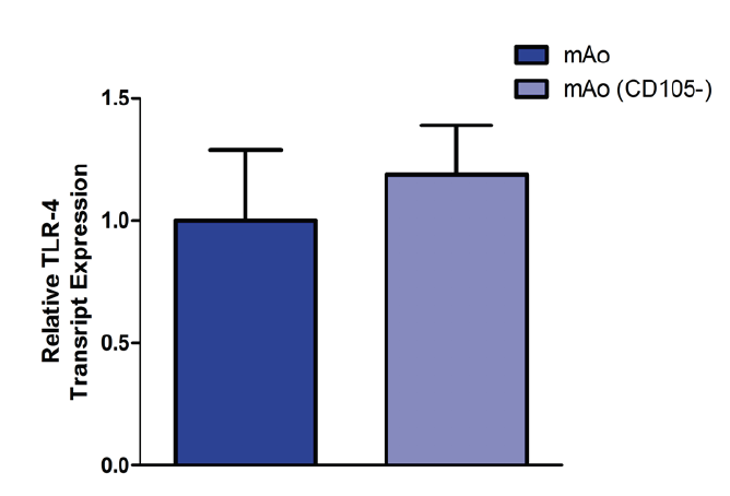 Figure 6. CD105 deficiency does not alter TLR-4 expression in mAo. Gene expression of TLR-4 was measured in mAo progenitors treated with and without 50 nm siRNA. Data are expressed as mean ± SEM and are representative of three separate experiments.