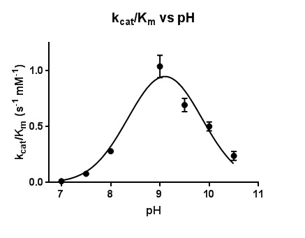Figure 5. Plot of the catalytic efficiency k_cat/K_m for the reaction of MT_Alr with D-alanine. The line represents the best fits of the data using nonlinear regression curve fitting.