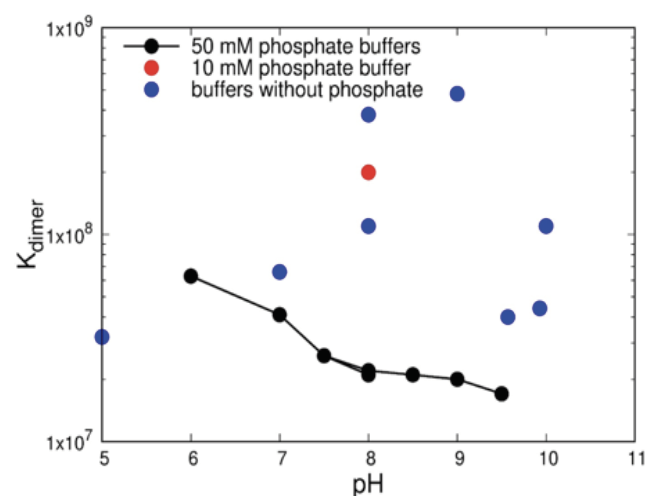 Figure 2. The equilibrium constant for dimerization ( K_ dimer) of M. tuberculosis alanine racemase as a function of pH and buffer conditions, determined using size exclusion chromatography. All buffers had 50 mM total buffering agent and 100 mM NaCl. K_ dimer was calculated from the apparent molecular mass as described in the text. Buffers without phosphate showed greater dimerization than ones with phosphate.