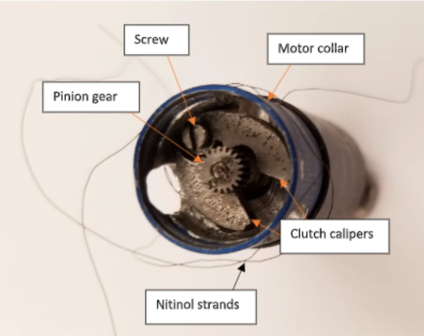 A Novel Nickel-Titanium Wire-Actuated Prosthetic Motor Clutch