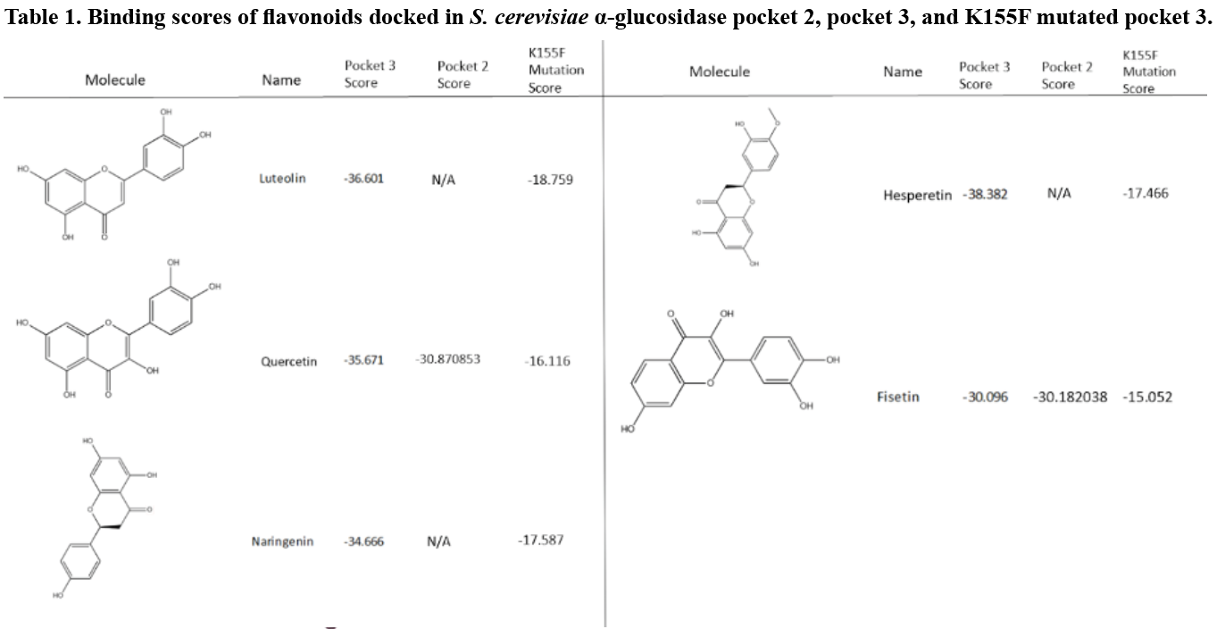 structural comparison of catalase a from saccharomyces... Structural Analysis of a New Saccharomyces cerevisiae α-glucosidase ...