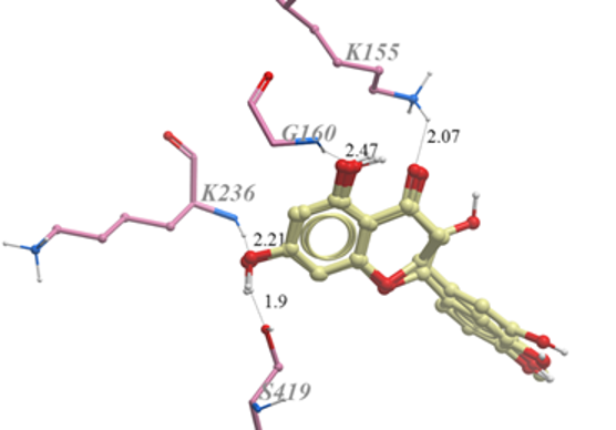 structural comparison of catalase a from saccharomyces... Structural Analysis of a New Saccharomyces cerevisiae α-glucosidase ...