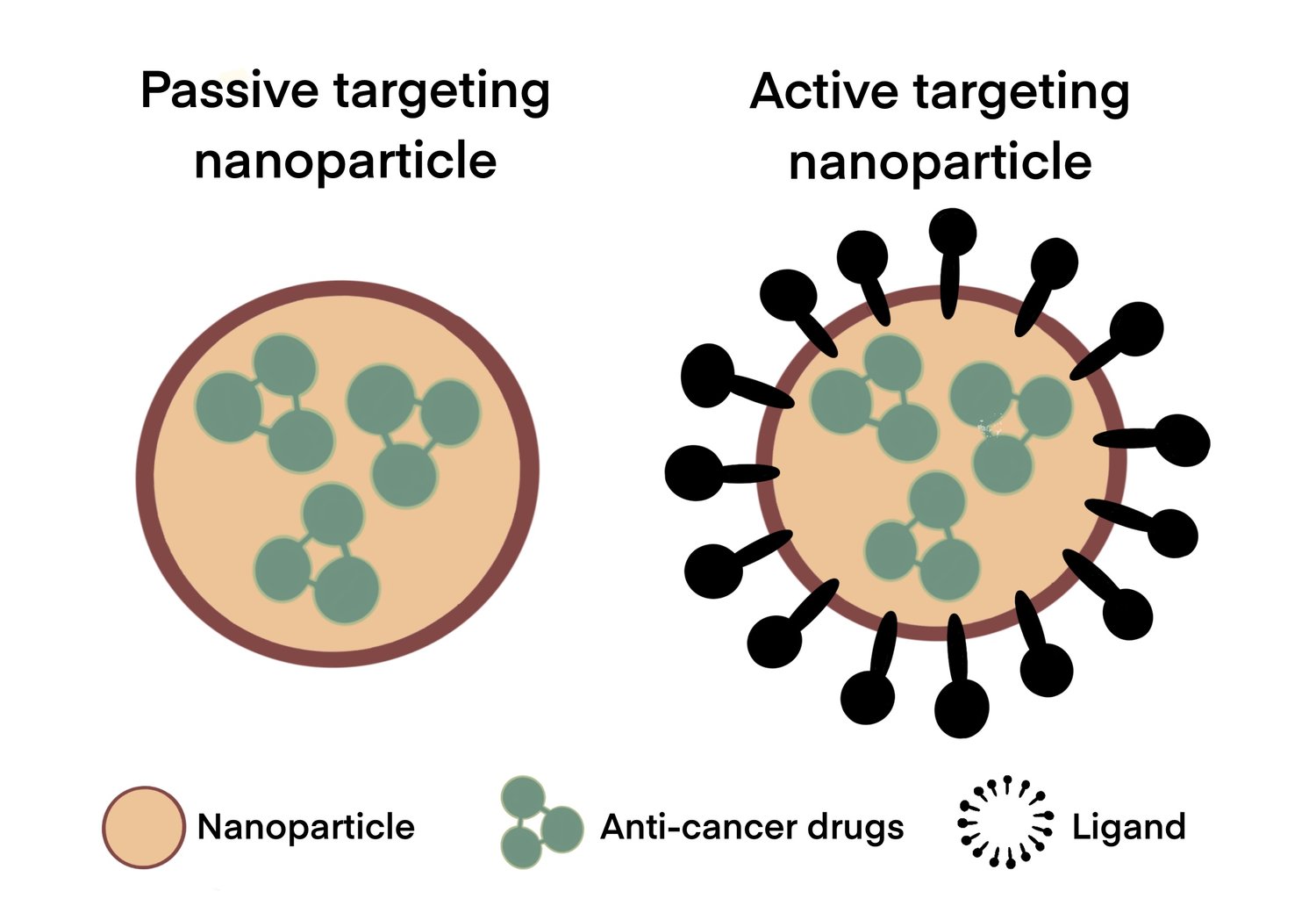 Preclinical Gold Complexes as Oral Drug Candidates to Treat