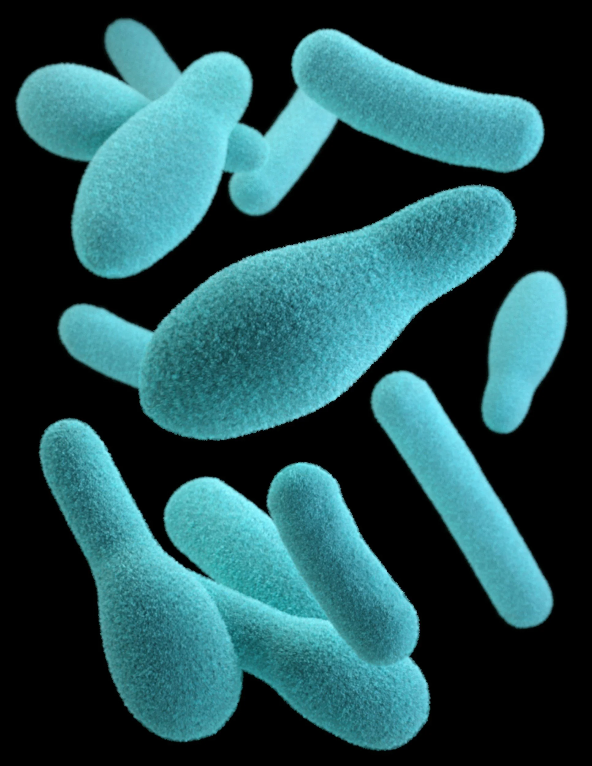 In Marine Bacteria, an Infectious Relationship Helps to Synthesize an Essential Nutrient