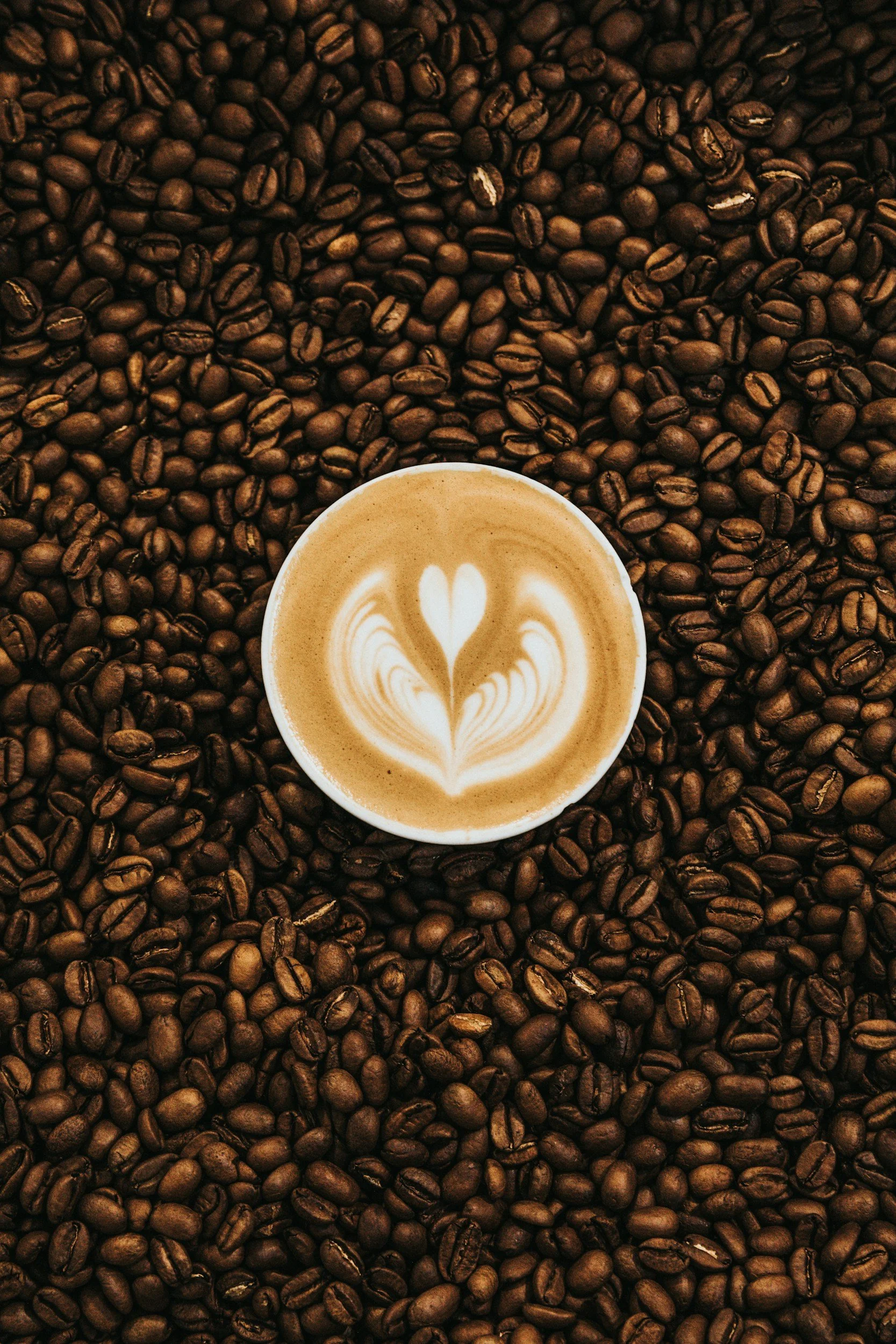 A New Study Explores the Nuances of Caffeine Therapy for Preterm Infants