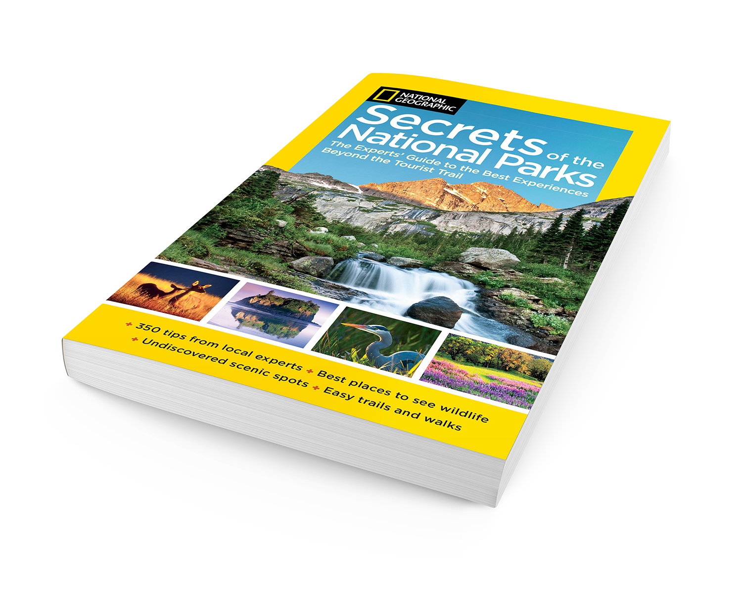 Secrets_of_NPs_Guide_GN008_1500.jpg