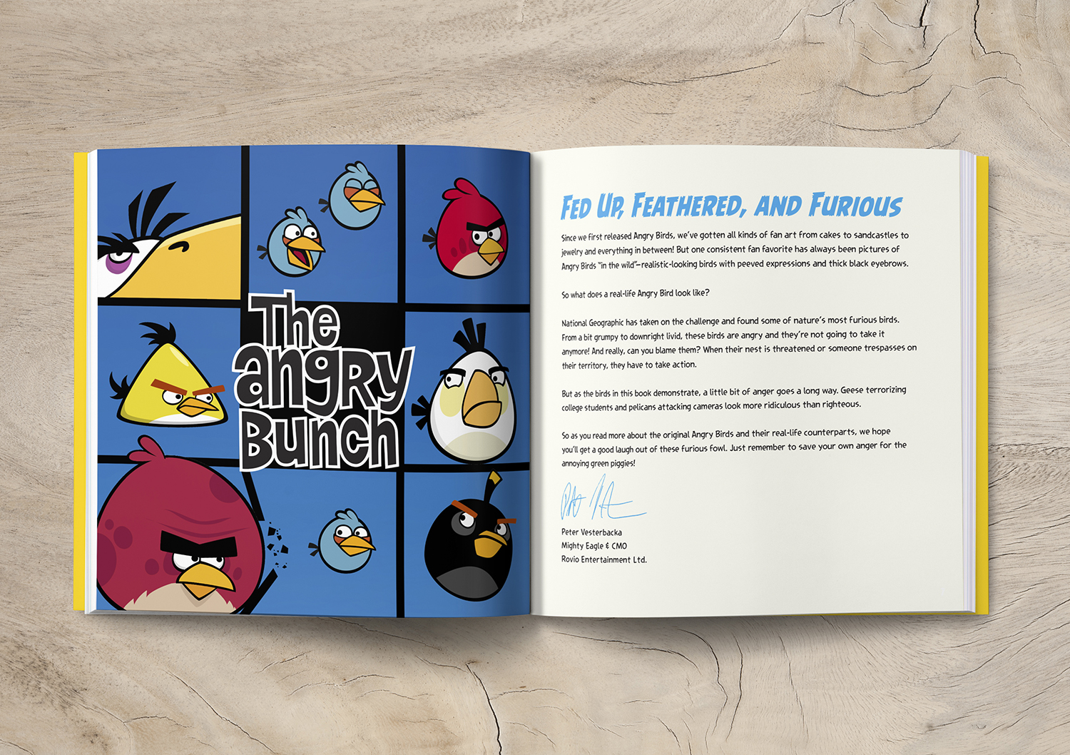 ABRealLife_Angry_Bunch_spread_1500.jpg