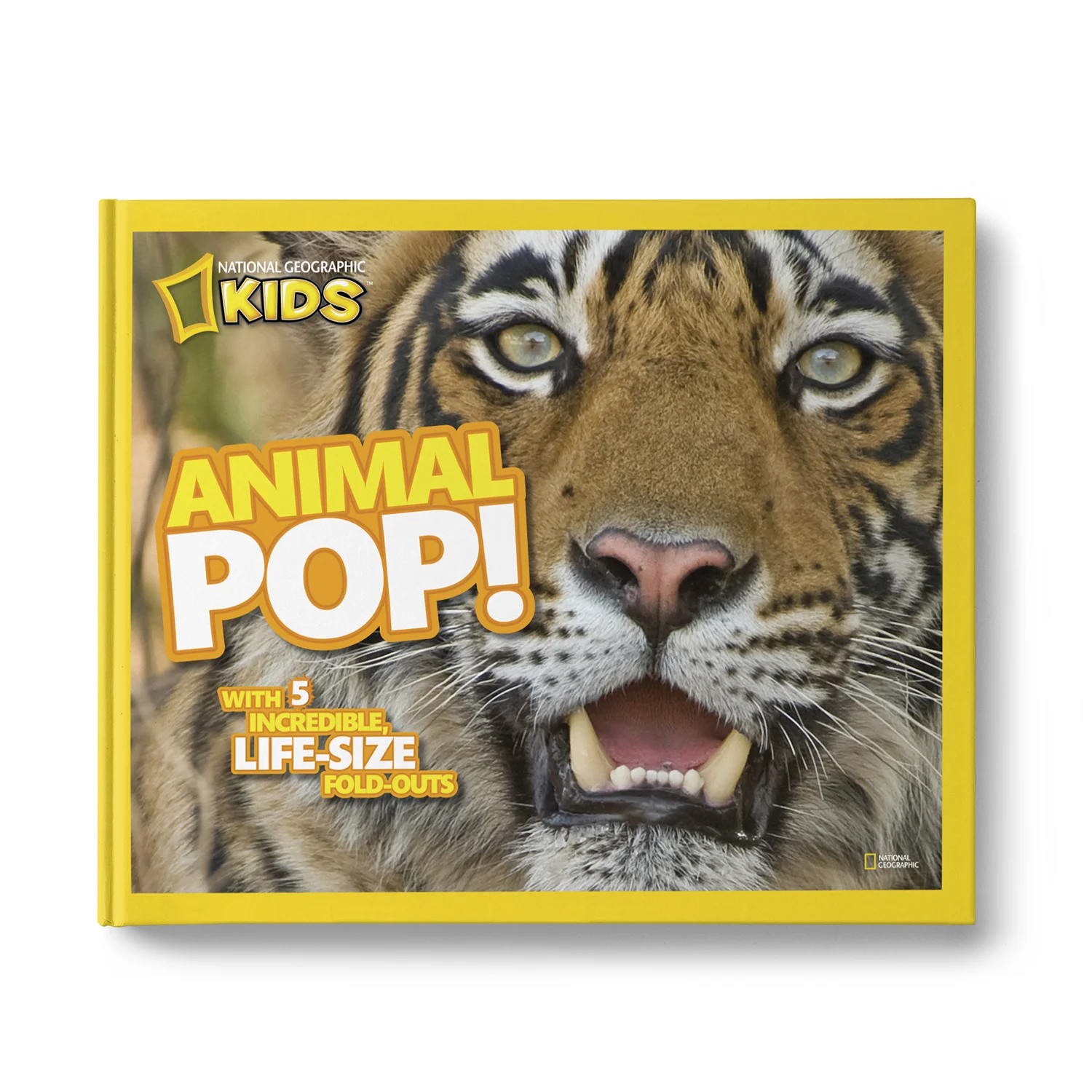 NGK_Animal_Pop_Cov_templ06_1500.jpg