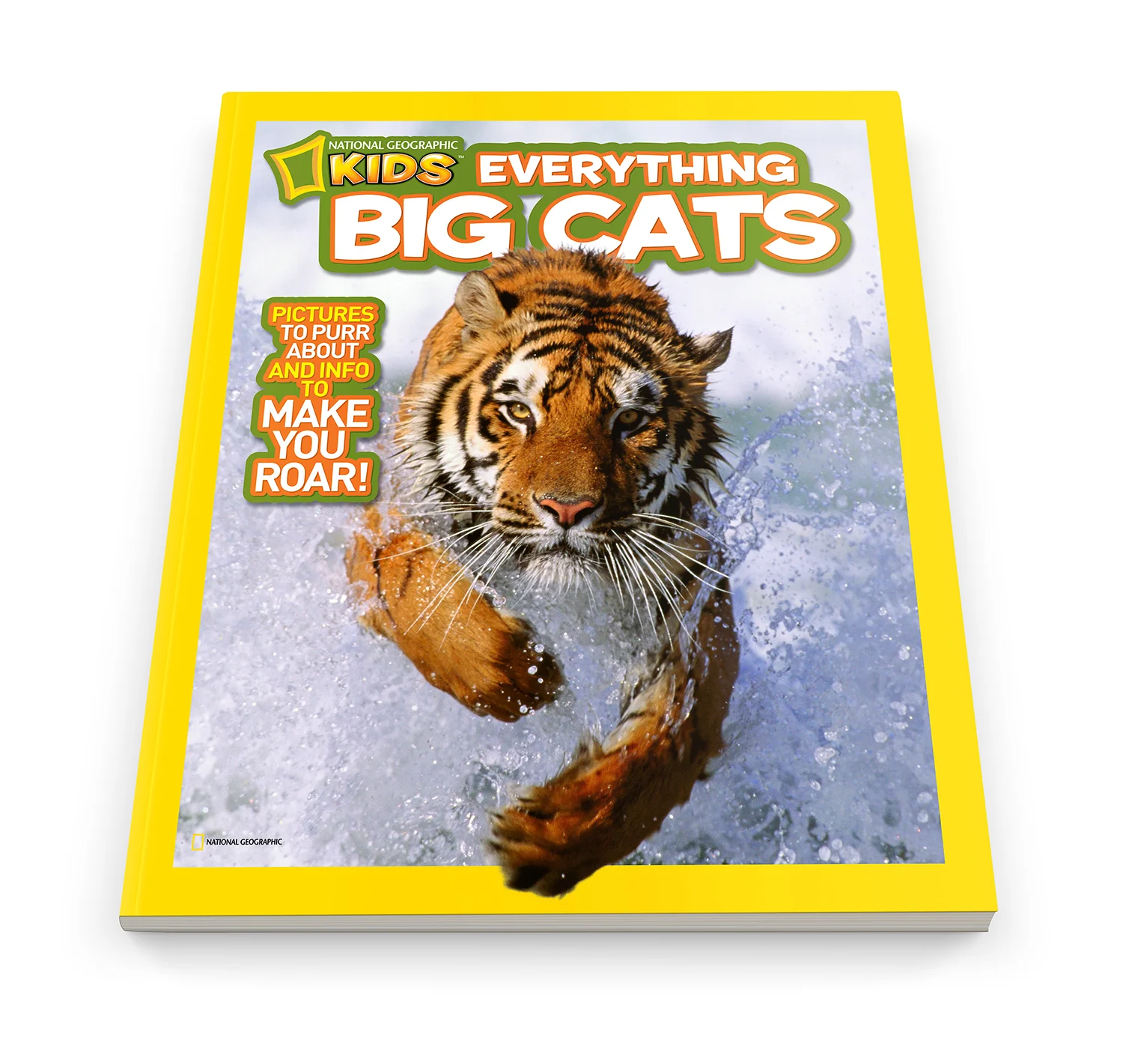NGK_Everything_Big_Cats_MAG006_1500.jpg