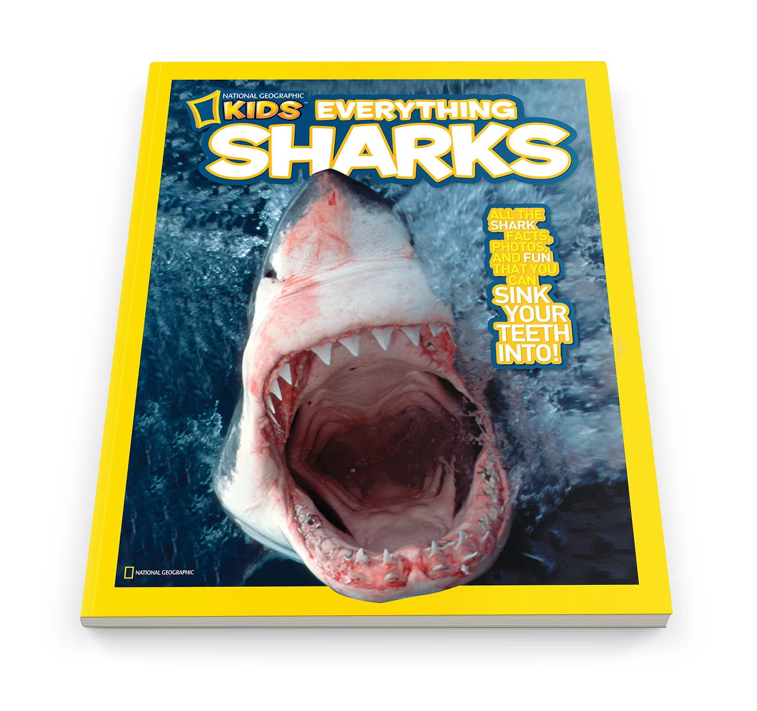NGK_Everything_Sharks_MAG006_1500.jpg