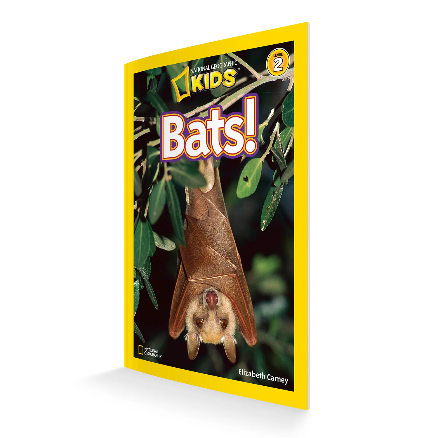 NGK_Reader_Bats_COM005_1500.jpg