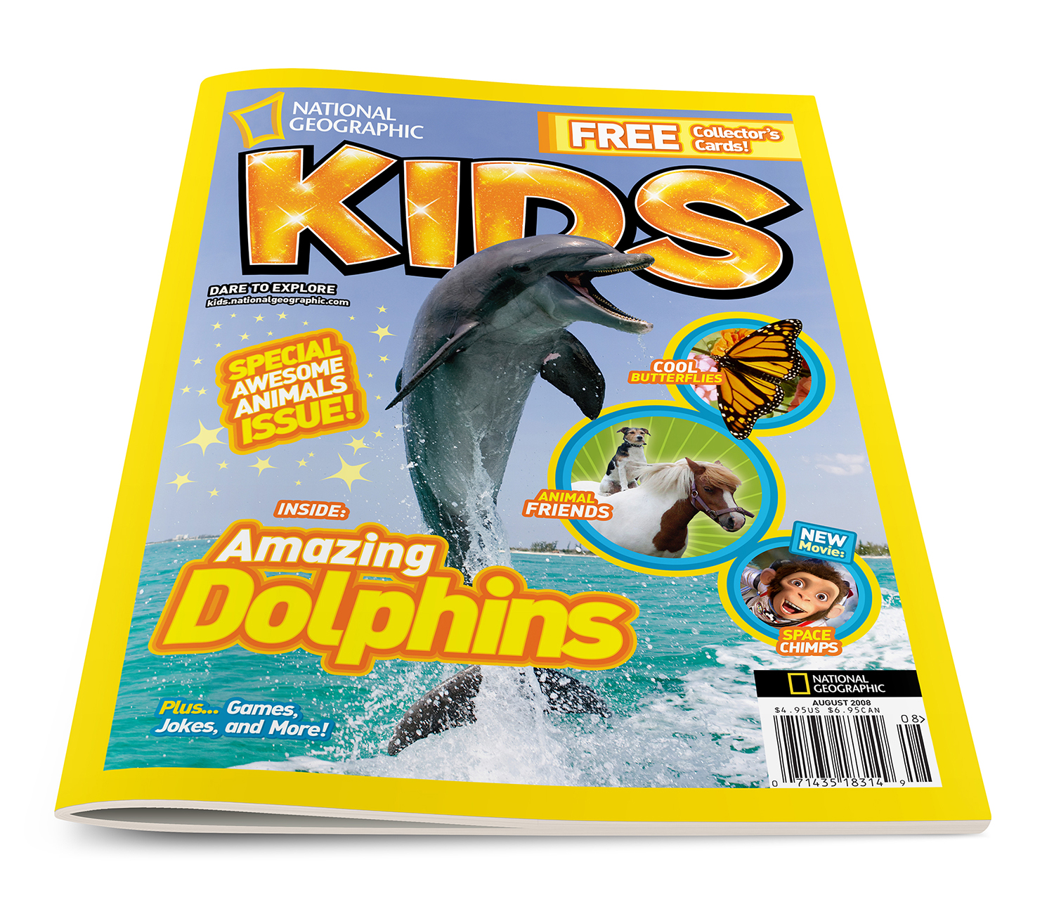 NGK_Aug08_Dolphin_Cov_COM006_1500.jpg