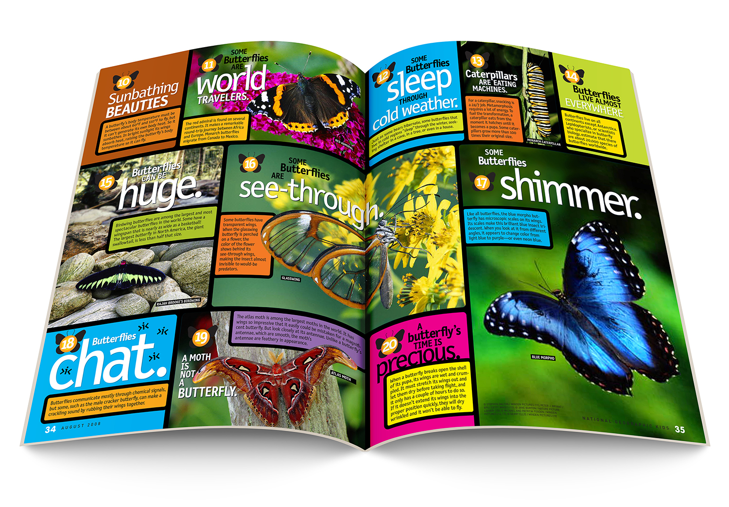 20_Butterflies_COM010_spread2_1500.jpg