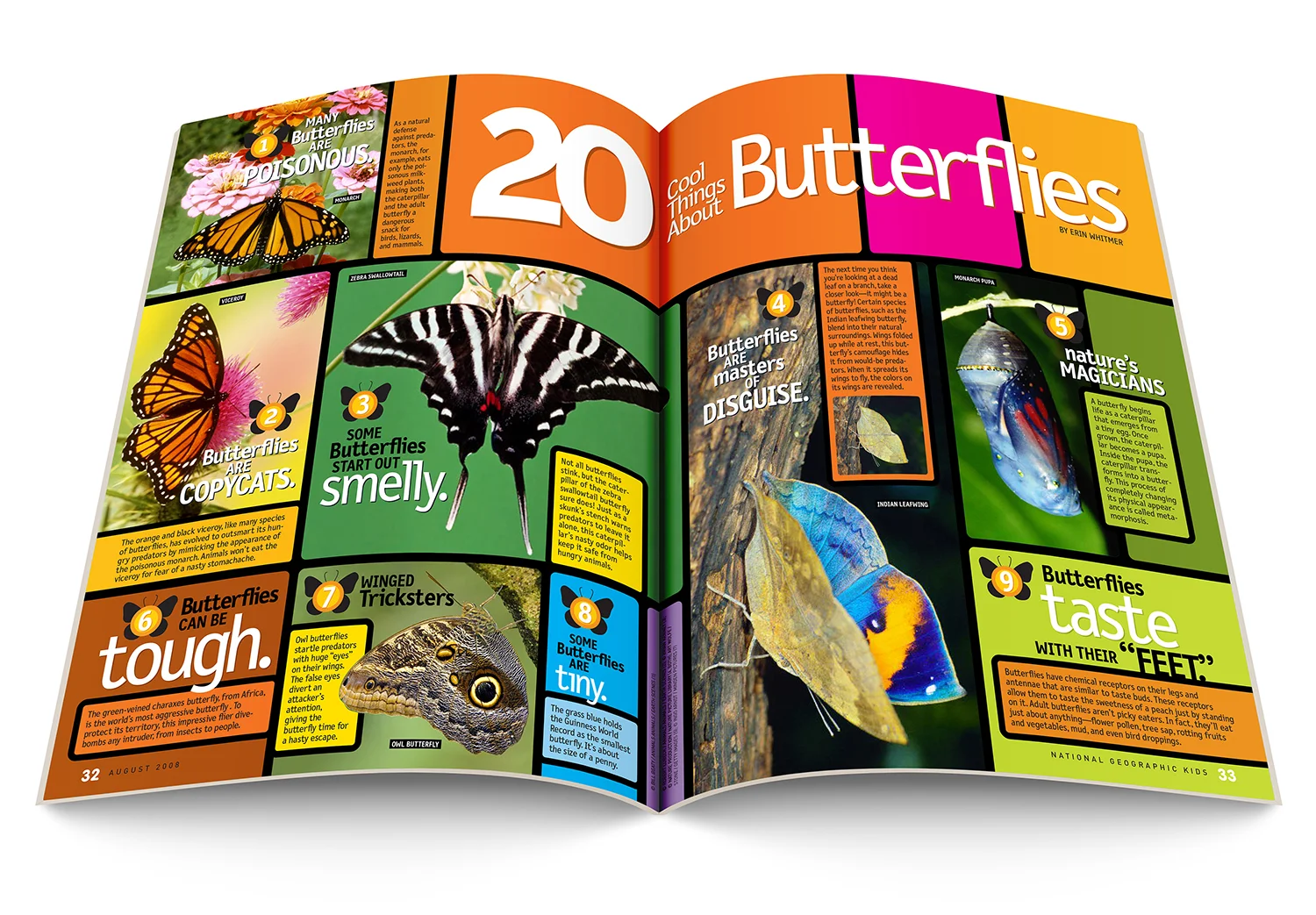 20_Butterflies_COM010_spread1_1500.jpg