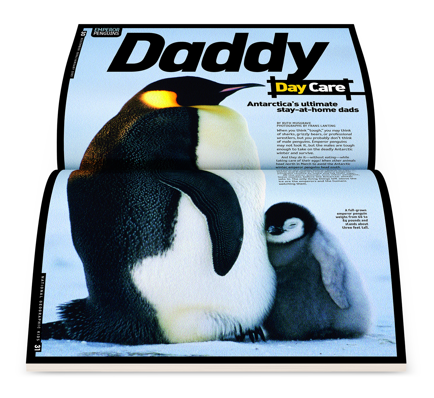 Daddy_Day_Care_COM013_spread_TALL_1500.jpg