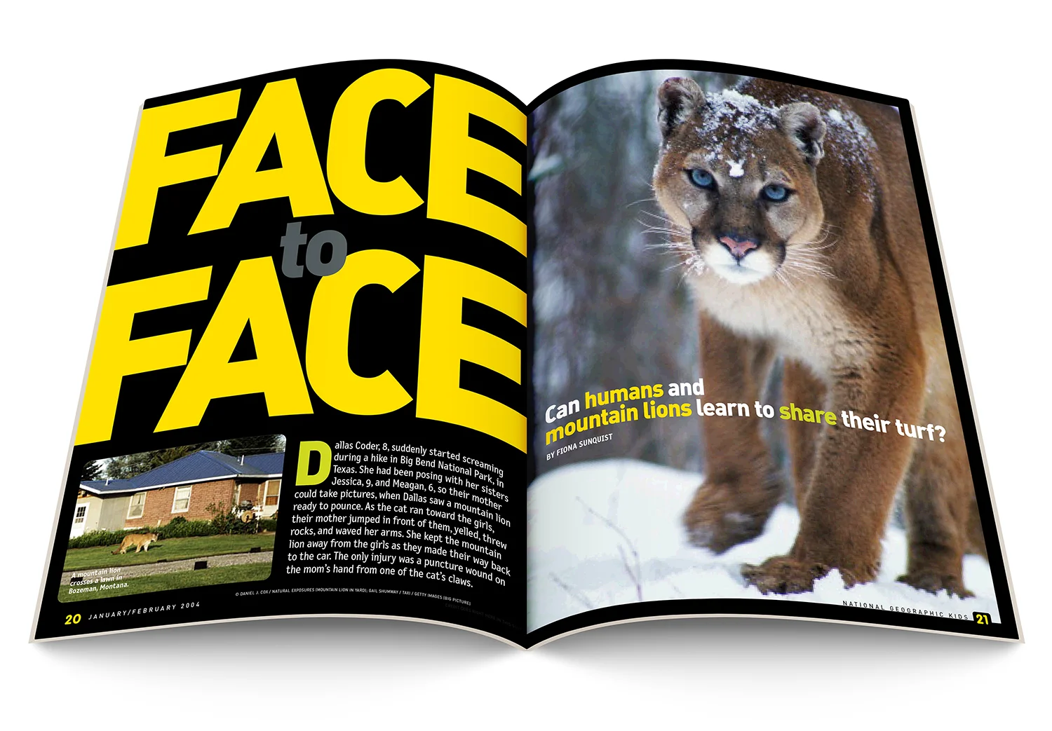 Face2Face_Mountain_Lions_COM010_spread1_1500.jpg