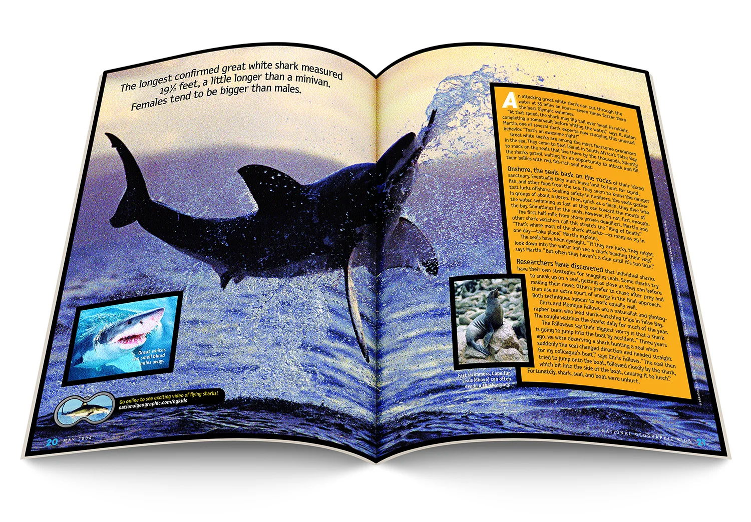 Flying_Sharks_COM010_spread2_1500.jpg