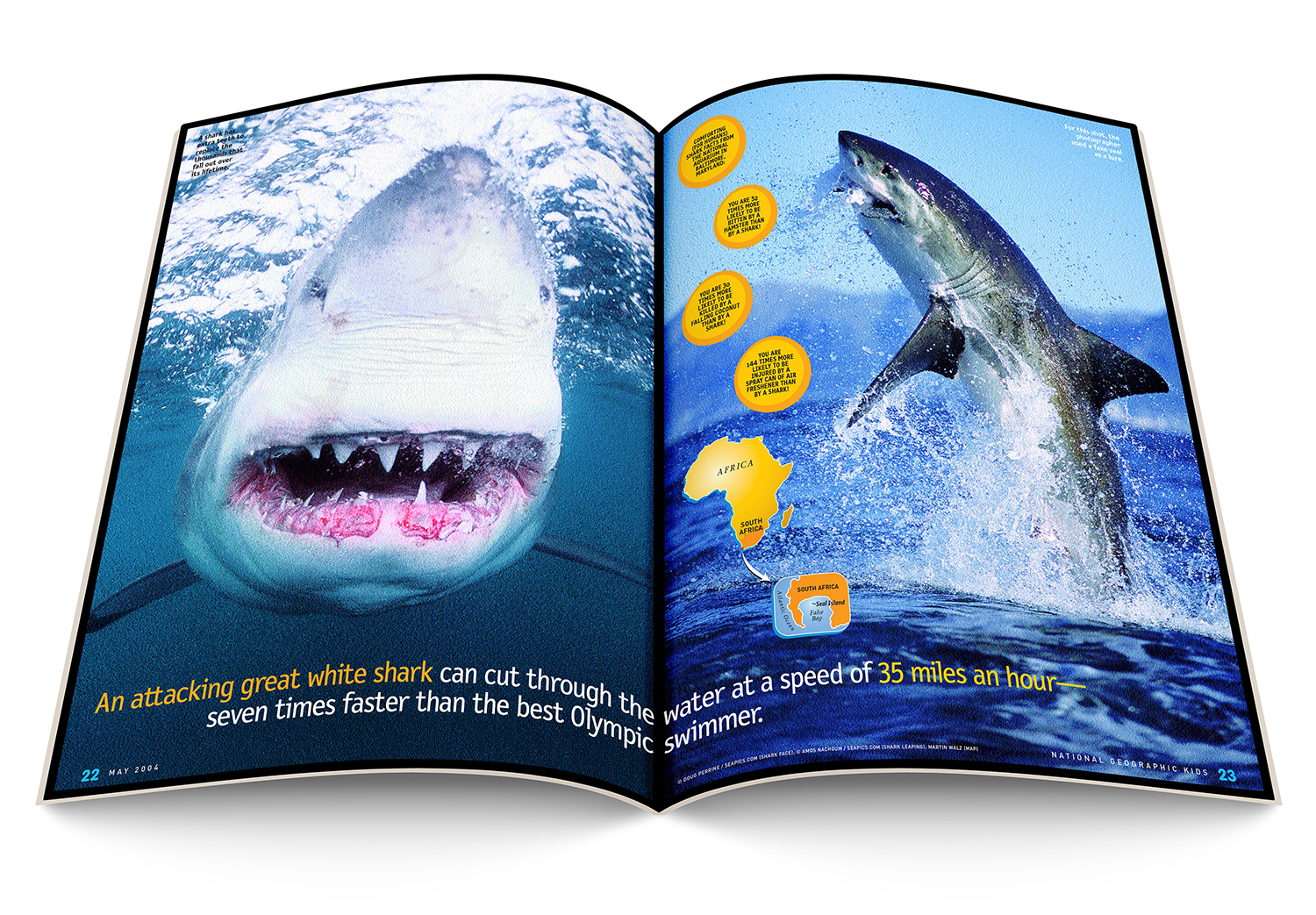 Flying_Sharks_COM010_spread3_1500.jpg