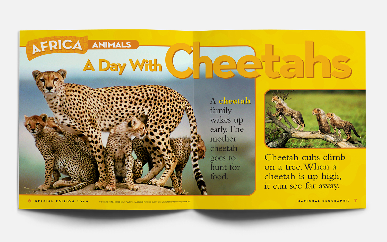 Cheetahs_NGLK1_mock04_1500.jpg