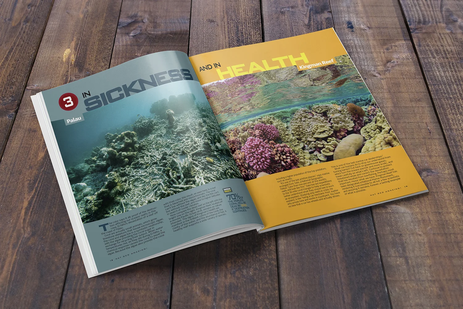 Amazing_Coral_Reefs_mock-47_1500.jpg