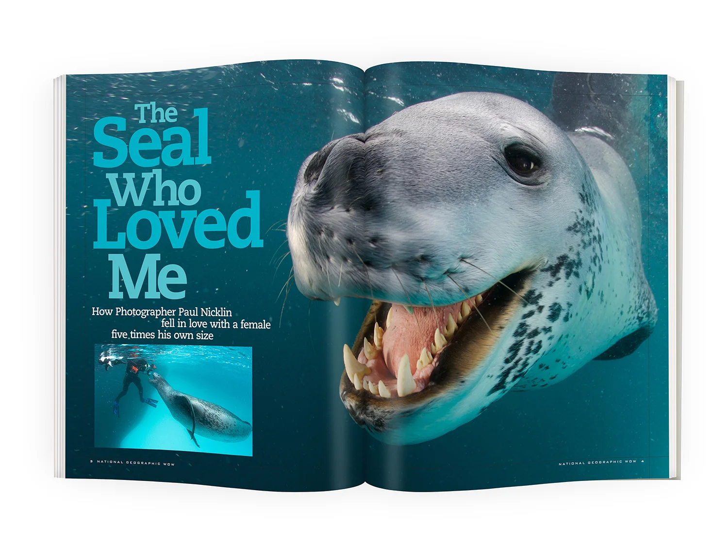 WOW_Seal_Loved_Me_spread1_MAG004_1500.jpg