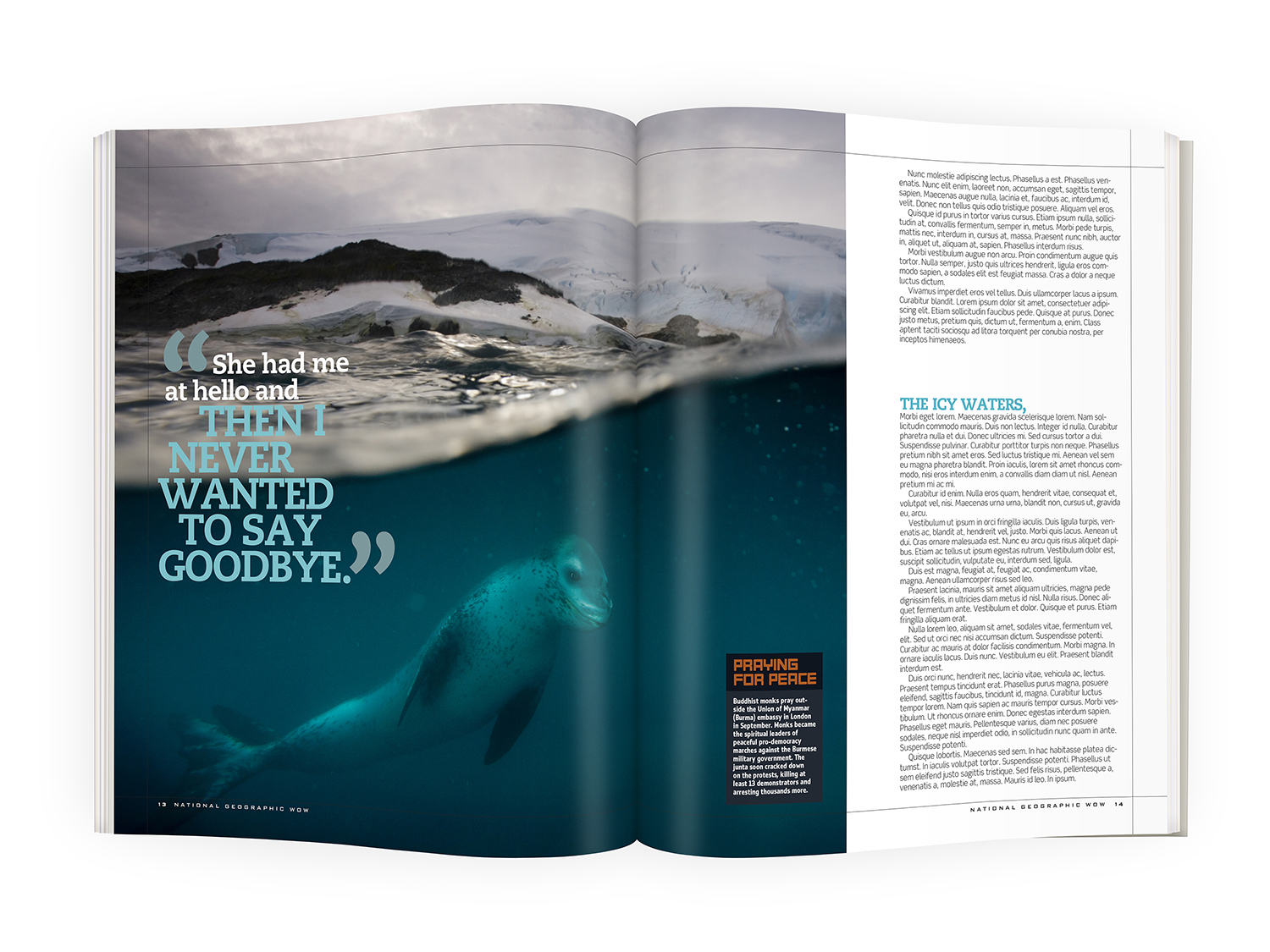WOW_Seal_Loved_Me_spread4_MAG004_1500.jpg