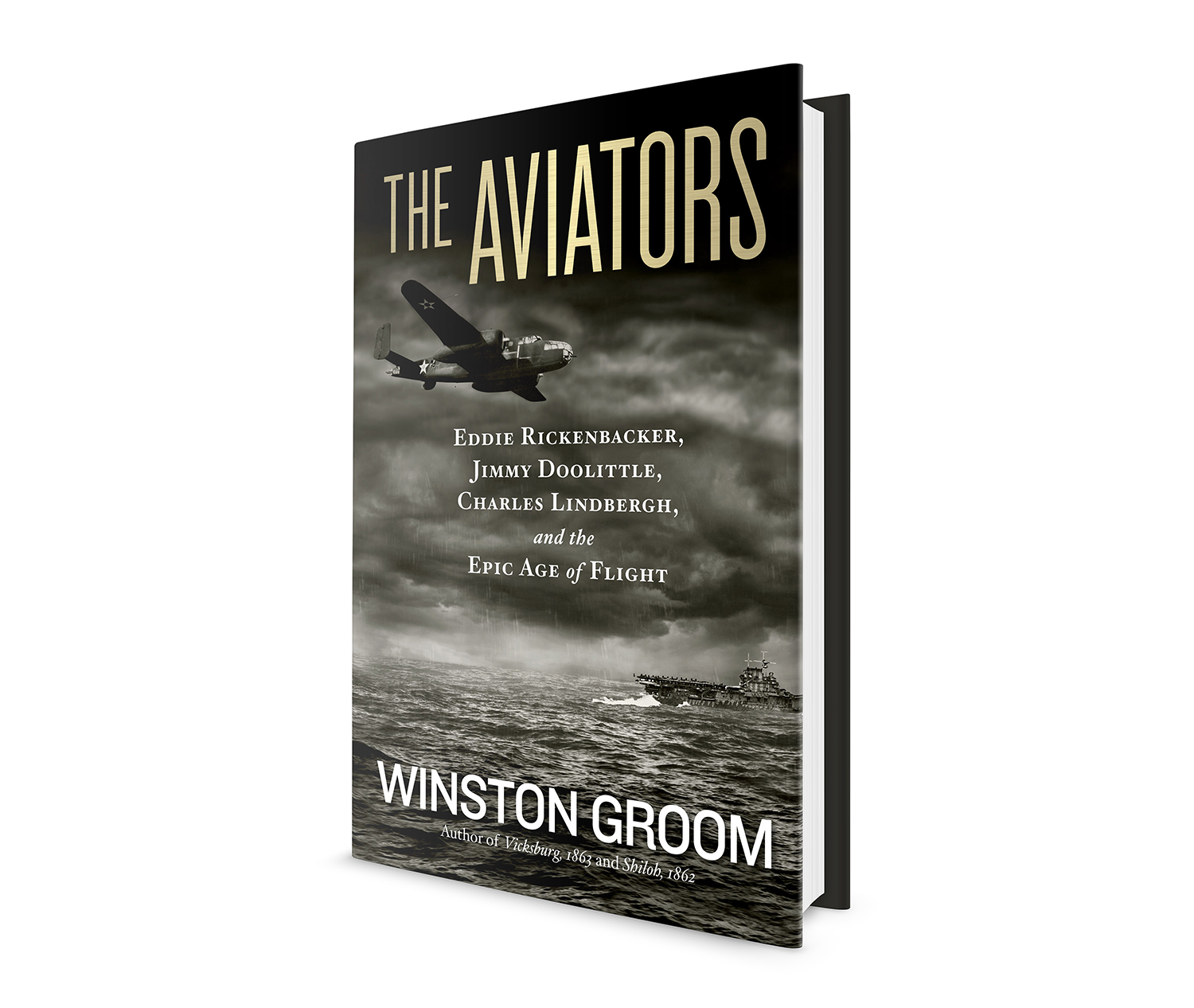 The final image used on Melissa Farris' Aviators cover