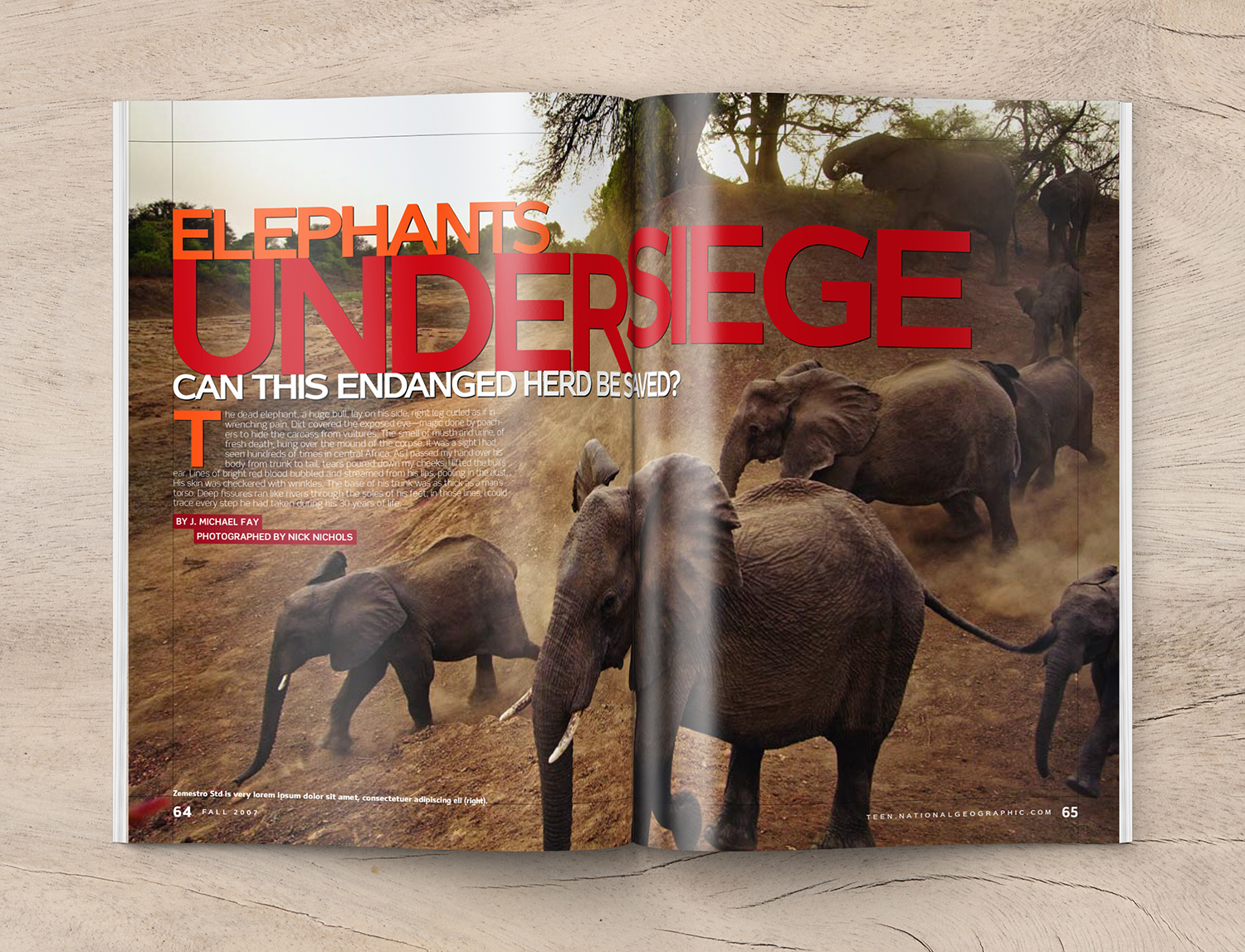 NGTeen_Elephants_spread1_templ5_1500.jpg