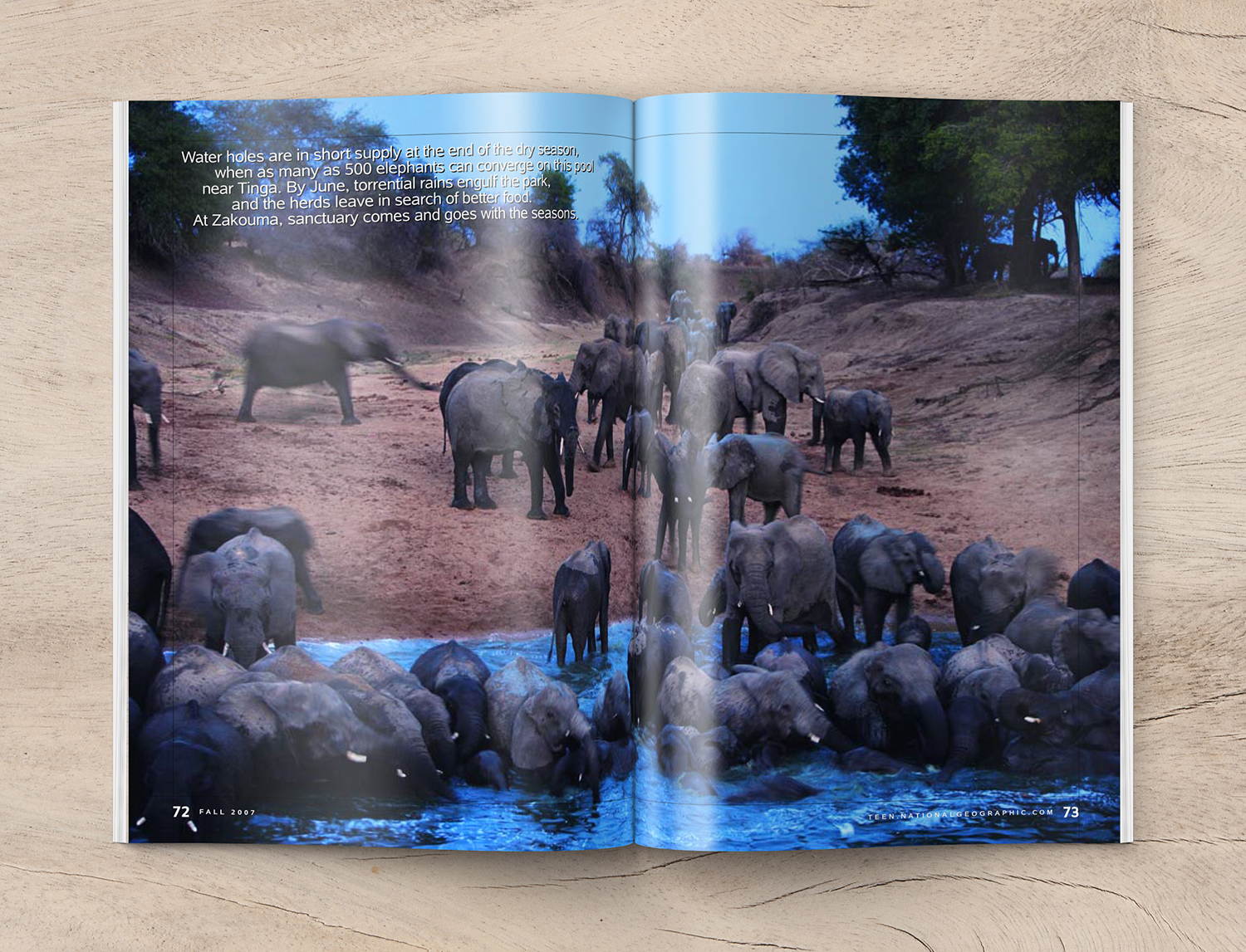 NGTeen_Elephants_spread5_templ5_1500.jpg