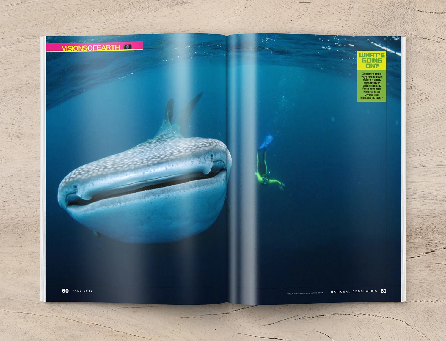 NGTeen_Visions_Whale_Shark_spread_templ5_1500.jpg
