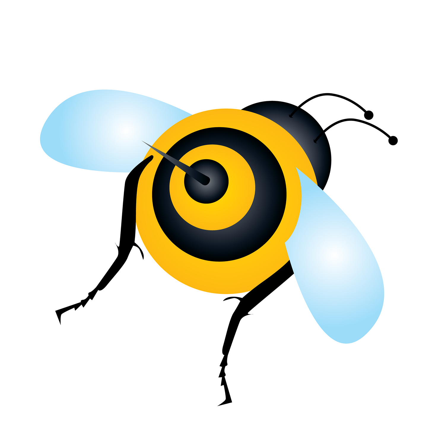 bee_2_jh_1500.jpg