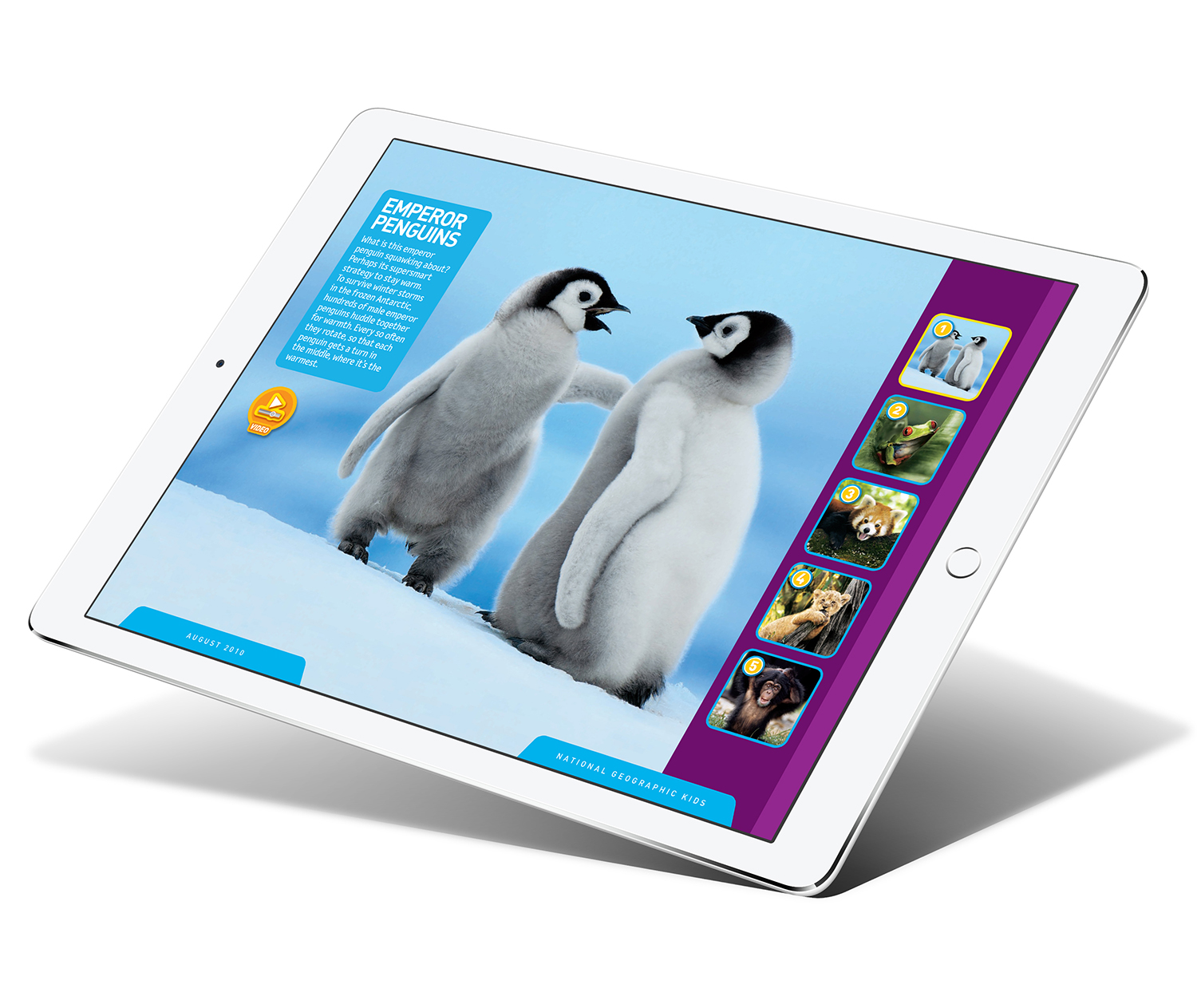 Aug10_Cutest_Pengs_iPad_Pro_mock5_1500.jpg