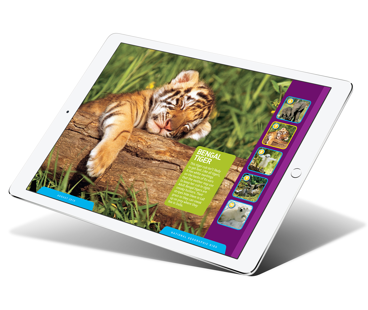 Aug10_Cutest_Tig_Cub_iPad_Pro_mock5_1500.jpg