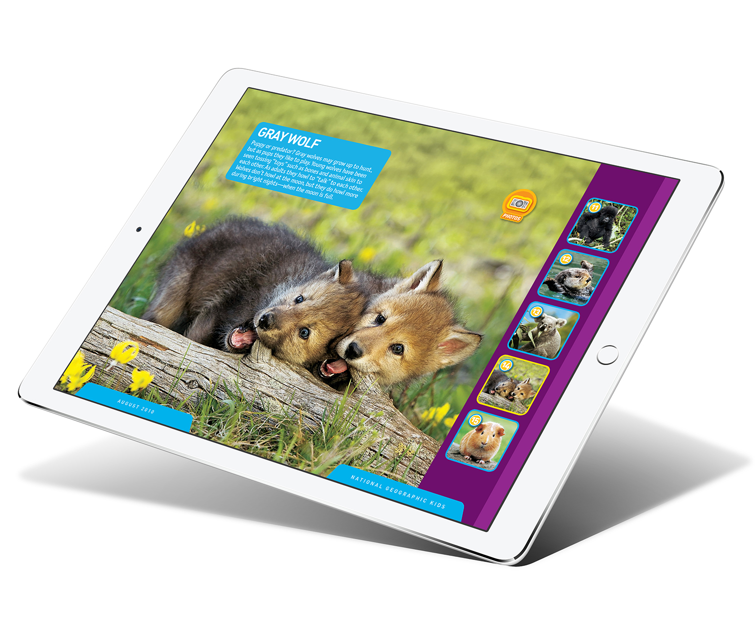 Aug10_Cutest_Wolf_Pups_iPad_Pro_mock5_1500.jpg