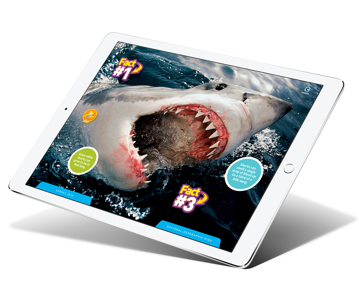 Aug10_Shark_Facts_Pics_iPad_Pro_mock5_1500.jpg